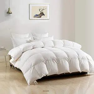 Breaking Down the DWR Luxury King Comforter: Is It Worth the Hype?