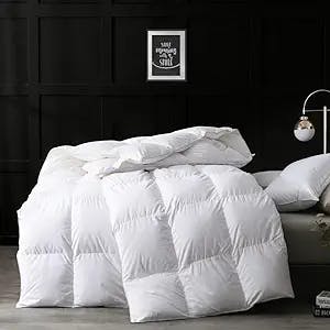 APSMILE Goose Feathers Down Comforter Queen Size, Hotel Collection All Season Duvet Insert, 750 Fill-Power, Ultra-Soft Fluffy Medium Warmth, Baffle Box Quilted with Corner Tabs (90x90, White)